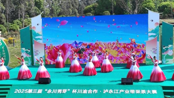 E策略平台 2025第三届“永川秀芽”杯川渝合作·泸永江产业带采茶大赛举行