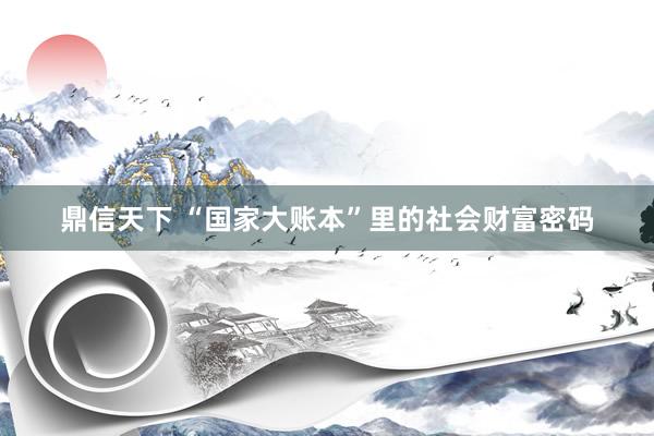 鼎信天下 “国家大账本”里的社会财富密码