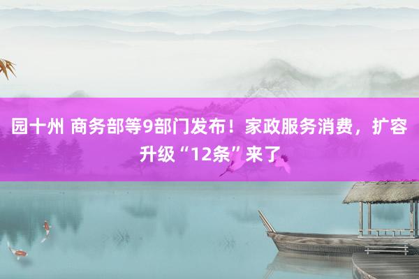 园十州 商务部等9部门发布！家政服务消费，扩容升级“12条”来了