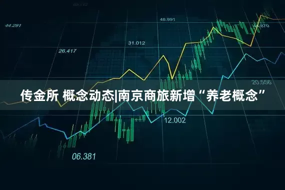 传金所 概念动态|南京商旅新增“养老概念”