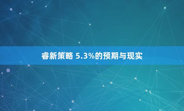 睿新策略 5.3%的预期与现实